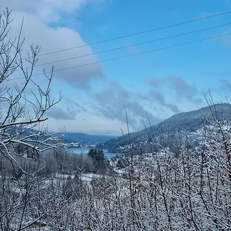 シャレー Les Biches