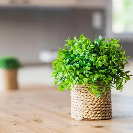 シャレー Les Biches *